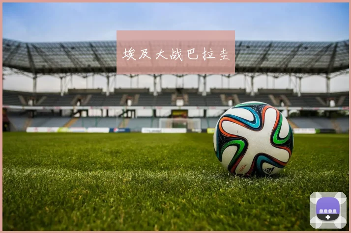 埃及大战巴拉圭