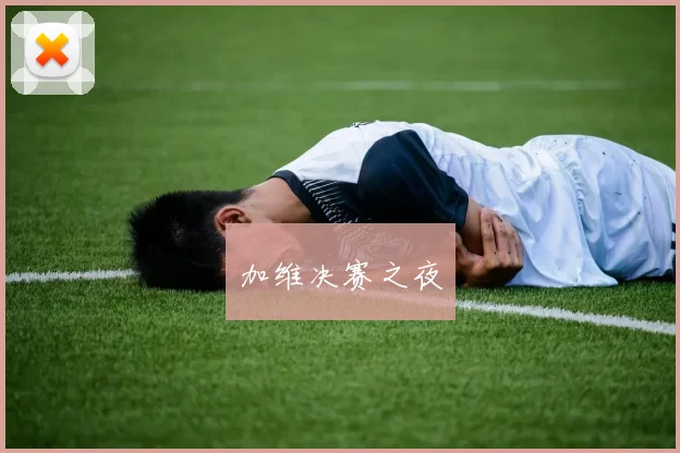 加维决赛之夜