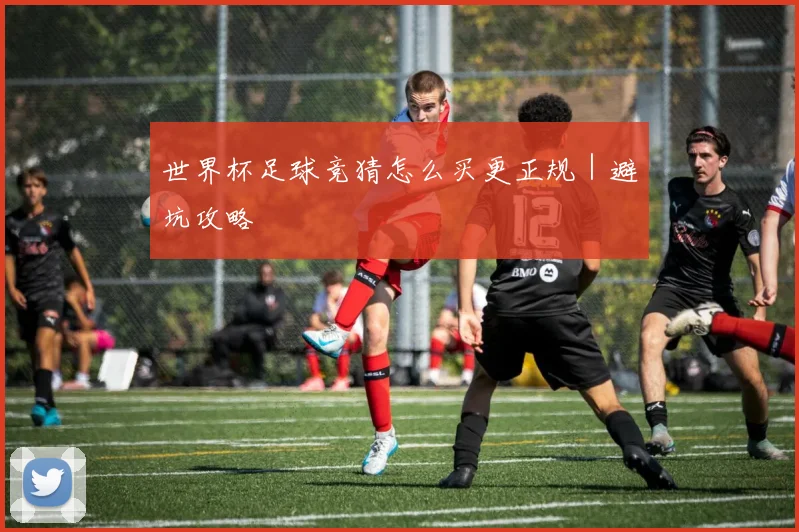 世界杯足球竞猜怎么买更正规|避坑攻略