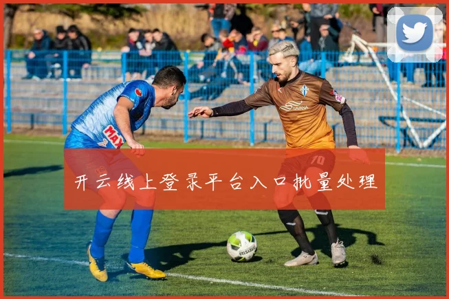 开云线上登录平台入口批量处理