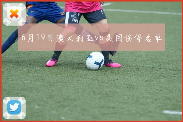 6月19日澳大利亚vs美国伤停名单