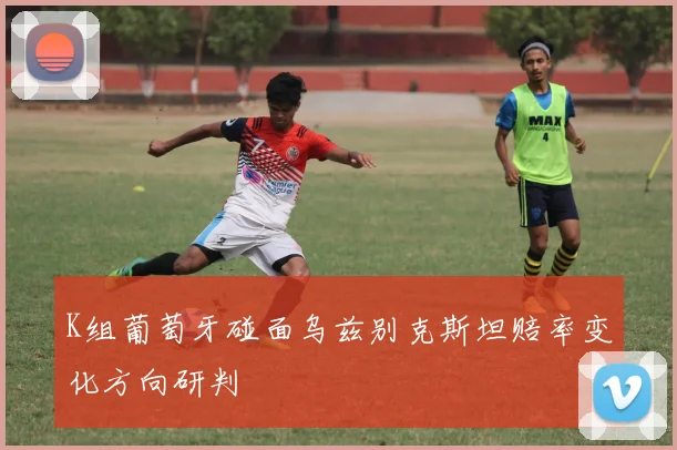 K组葡萄牙碰面乌兹别克斯坦赔率变化方向研判