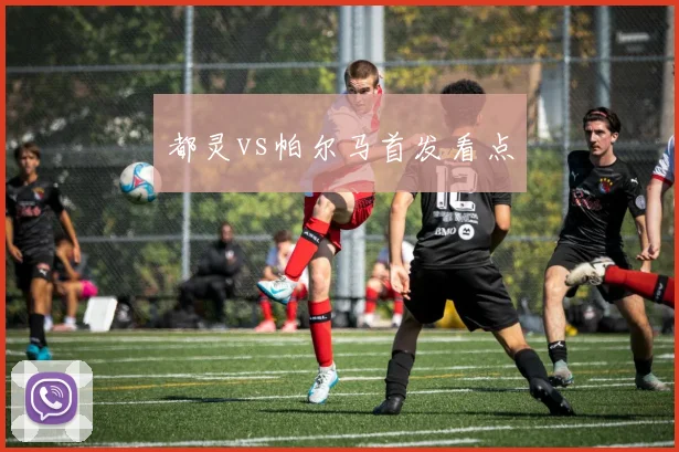 都灵vs帕尔马首发看点