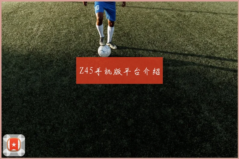 Z45手机版平台介绍