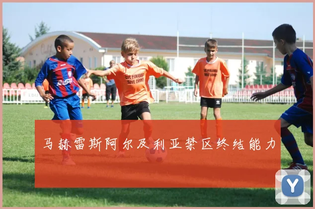 马赫雷斯阿尔及利亚禁区终结能力